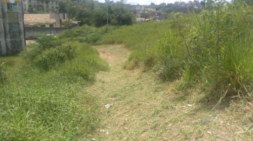 [Após denúncia, Limpurb realiza serviço de limpeza em rua de Nova Constituinte]
