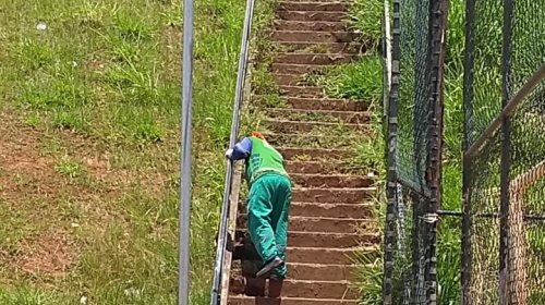 [Ação bota fora: Limpurb realiza serviço de limpeza e roçagem em diversas ruas de Pernambués]
