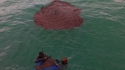 [Derramamento de óleo não foi feito por navio grego]