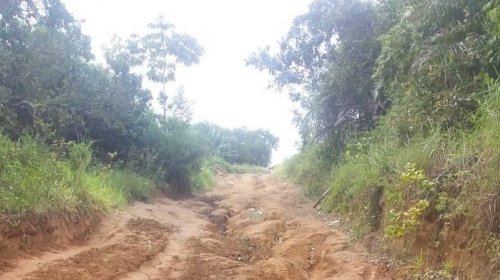 [Moradores do Quilombo Quingoma pedem reforma de estrada na Associação ]
