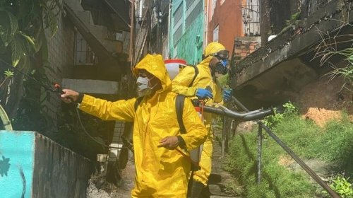 [Ação do Movimento Solidário higieniza as ruas de Pernambués para combater o coronavírus ]
