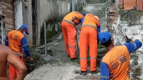 [Limpurb realiza mutirão de limpeza e roçagem em Pernambués ]
