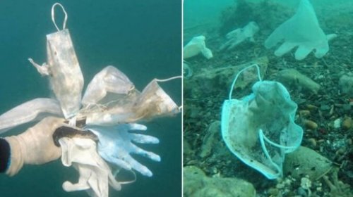 [Mais de 1,5 bilhão de toneladas de máscaras acabaram no mar em 2020, alerta entidade]