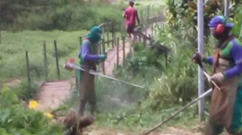 [Agentes de limpeza realizaram mutirão de roçagem e capina no bairro de Nova Constituinte]