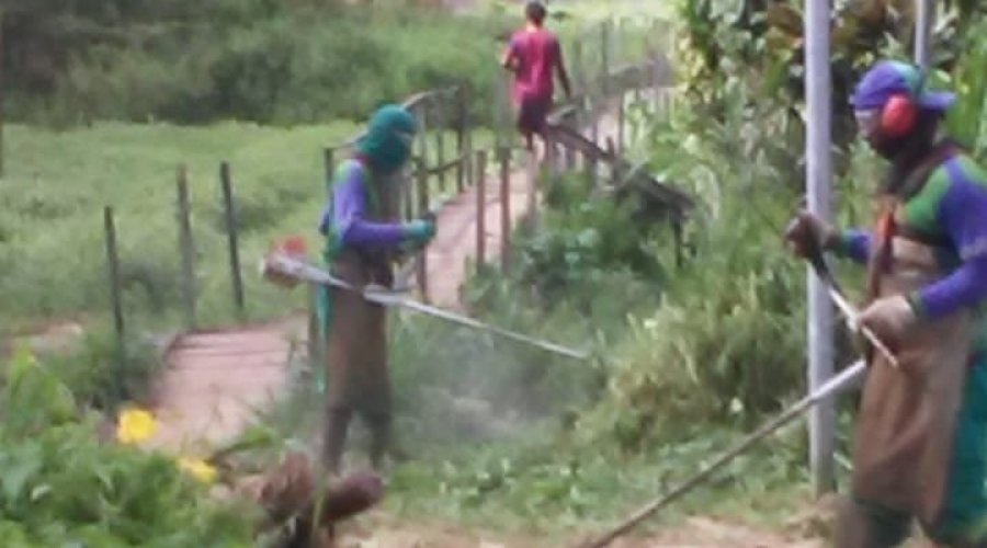 [Agentes de limpeza realizaram mutirão de roçagem e capina no bairro de Nova Constituinte]