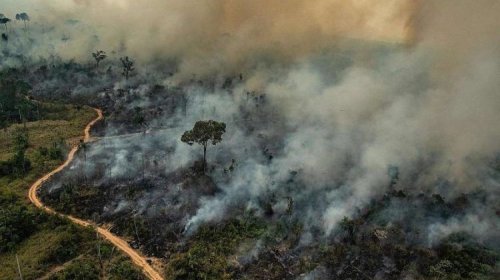 [Conferência do Clima começa neste domingo com grandes expectativas e Brasil como vilão]