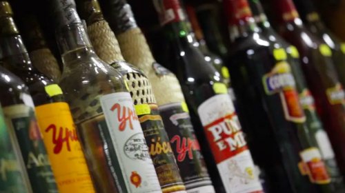 [“Pode beber depois da vacina?”, a campeã do Google no Brasil desde o início da vacinação]