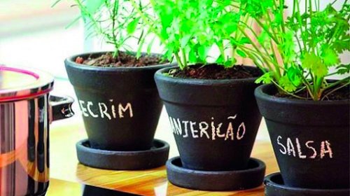 [ Projeto Horta em Casa abre inscrições para novas turmas no início de julho]