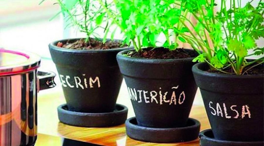 [ Projeto Horta em Casa abre inscrições para novas turmas no início de julho]