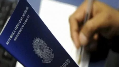 [Com 71 % de vagas micro e pequenas empresas são maiores empregadoras]