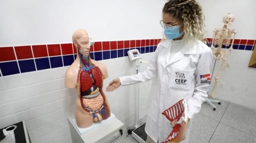 [SEC publica resultado do sorteio eletrônico de vagas para cursos técnicos gratuito]
