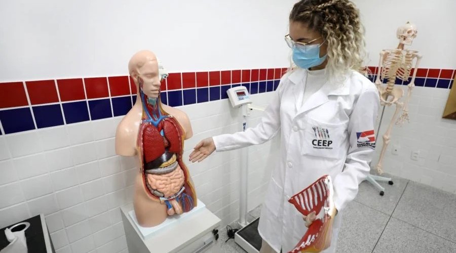 [SEC publica resultado do sorteio eletrônico de vagas para cursos técnicos gratuito]