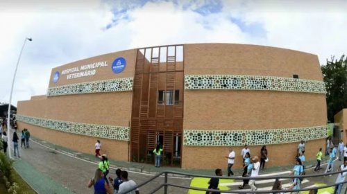[Um dia após ser inaugurado, Hospital Veterinário de Salvador tem longas filas e abandono de an...]