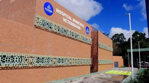 [MP-BA apura possíveis falhas no Hospital Veterinário de Salvador após denúncia]