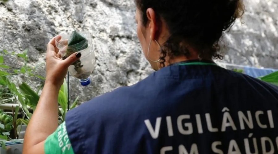 [Jovens e pessoas pardas mais vulneráveis ao vírus da dengue na Bahia]