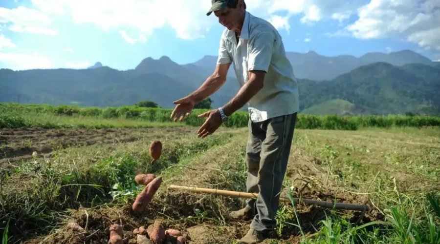 [BNDES lança linha de crédito bilionária para produtores rurais afetados por desastres naturais]