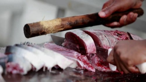 [Amazonas confirma três registros da síndrome de Haff após ingestão de pacu]