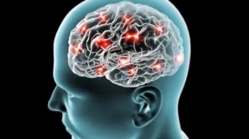 [Morte encefálica: entenda o que é e quais etapas são necessárias para confirmar o diagnóstico]