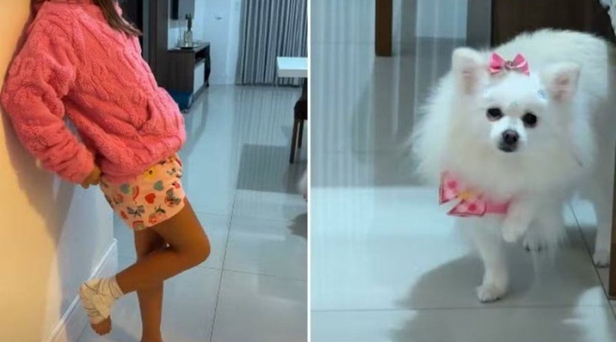 [Cadelinha viraliza ao imitar menina que machucou o pé após queda de bicicleta]