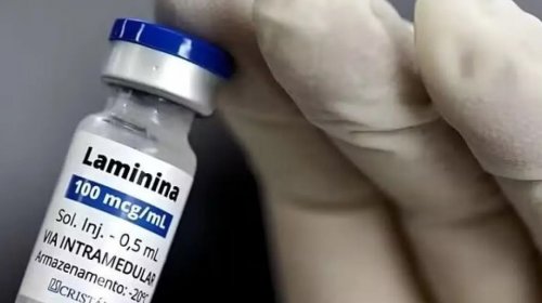[Pesquisa aponta segurança da polilaminina, mas eficácia ainda precisa ser comprovada]