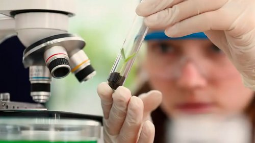 [Prêmio para mulheres e meninas cientistas abre inscrições até outubro]