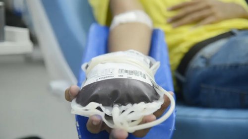 [Testemunhas de Jeová deixam decisão sobre componentes do sangue a critério de cada fiel]