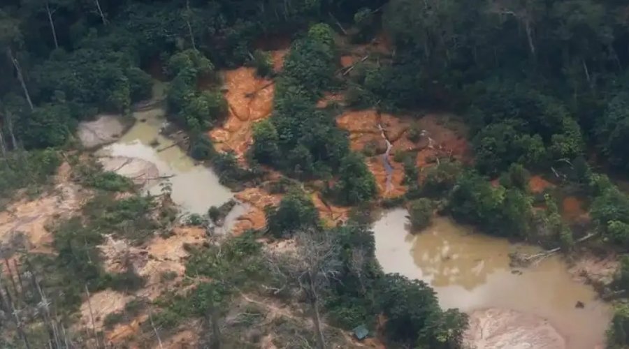 [MPF aciona quatro empresas por suposta colaboração com garimpo ilegal na Terra Yanomami]