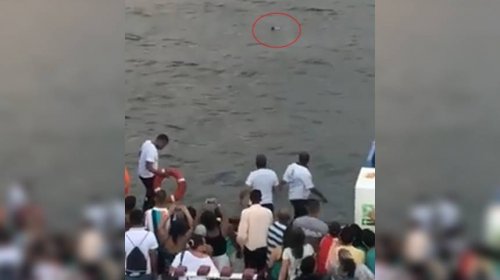[Veja vídeo: passageiro morre após cair no mar durante travessia Salvador/Ilha de Itaparica]